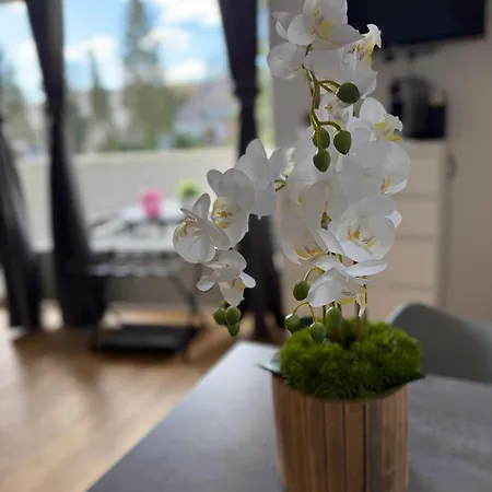 1 In Apartment